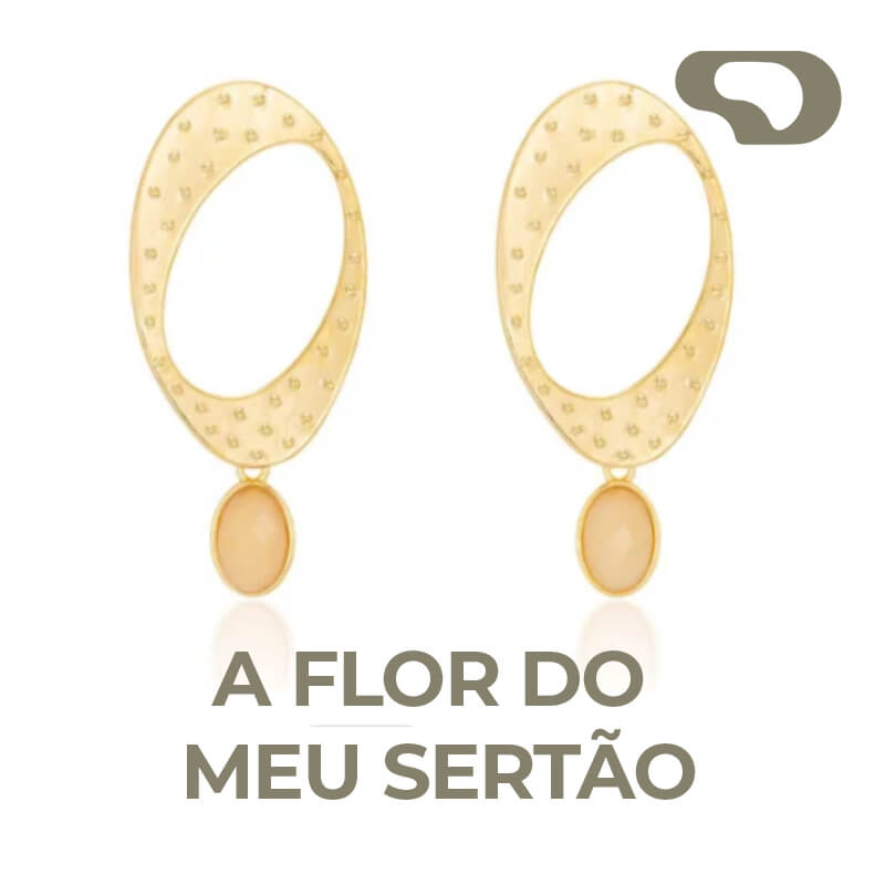 Coleção - A Flor do Meu Sertão - Bioma Caatinga 